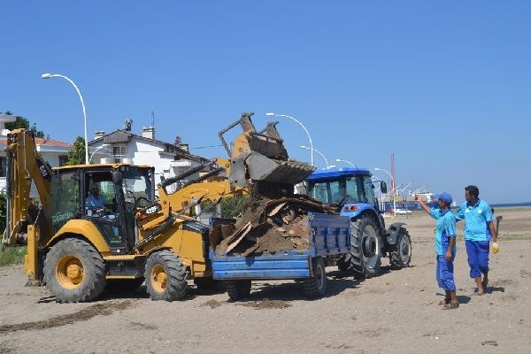 Görülmemiş olay! Gemlik'te denizi suntalar bastı