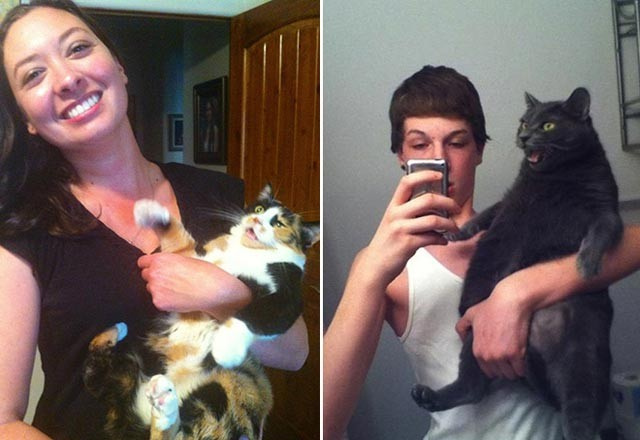 Selfie çektirmekten nefret eden kediler
