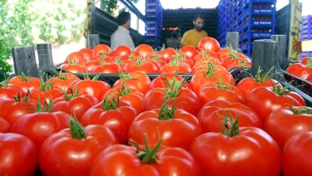 Canan Karatay'dan domates uyarısı!