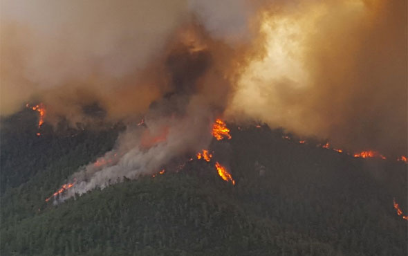 İzmir'deki orman yangını söndürülemiyor