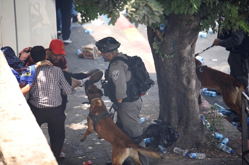 Mescid-i Aksa'da İsrail vahşeti! Köpeklerle saldırdılar