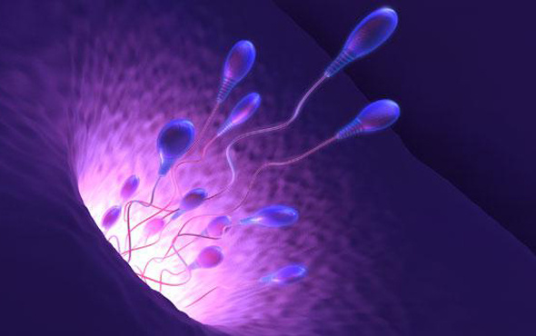 Batılı erkeklerin sperm sayısı yarı yarıya azaldı!