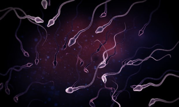 Batılı erkeklerin sperm sayısı yarı yarıya azaldı!