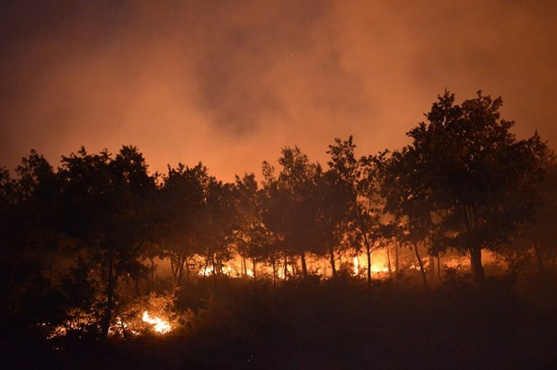 İzmir'de felaket 35 saattir yangın devam ediyor dehşet görüntüler