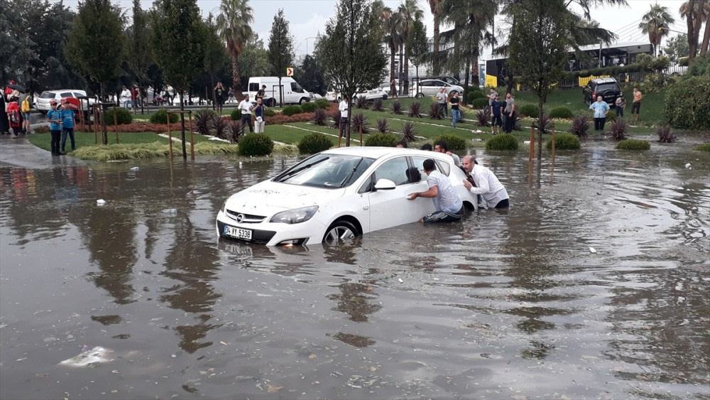 Otobüsten inip yüzmeye başladılar!