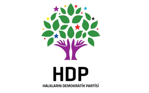  HDP Batman Milletvekili Saadet Becerikli ifade verdi 