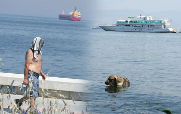 İzmir'in aşırı sıcaklarla imtihanı! Yolun ortasında soyundular