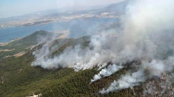 Orman yangınları uzaydan bile göründü NASA'nın fotoğrafları üzücü!