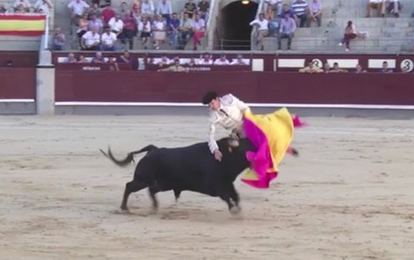 Boğa güreşi festivali faciaya dönüştü! 2 matador...