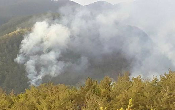 PKK'lılar tünellerden sızıp ormanları ateşe veriyor