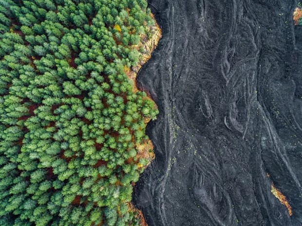 2017 National Geographic Yarışmasının favorileri belli oldu...