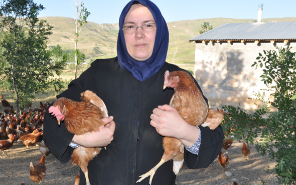 Moldovalı  gelin yumurta çiftliği kurdu