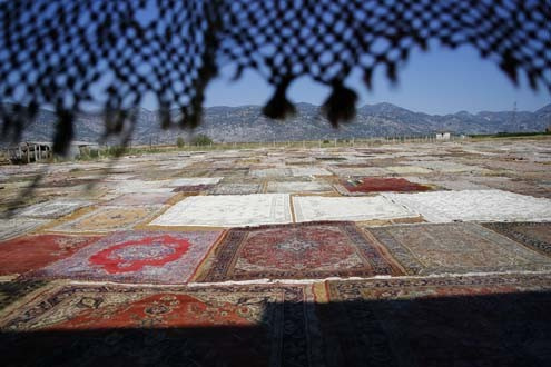 Önce güneşleniyor sonra dünyaya satılıyor