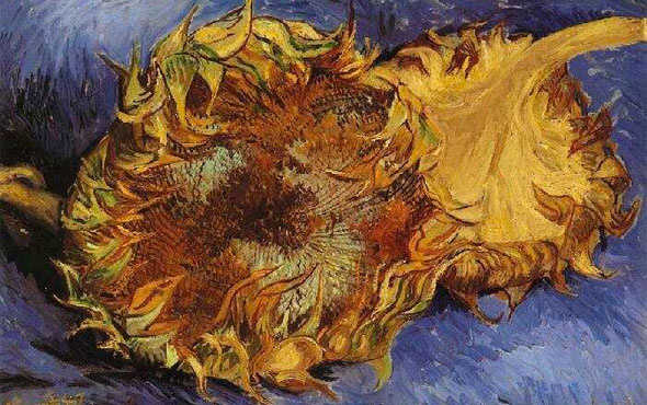 Facebook'ta, Van Gogh'un "Ayçiçekleri" serisine özel sergi açılacak