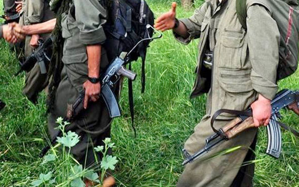 PKK'nın sözde grup sorumlusu öldürüldü