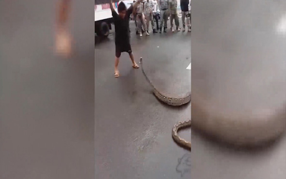 Küçük çocuğun yılanla dansı şoke etti!
