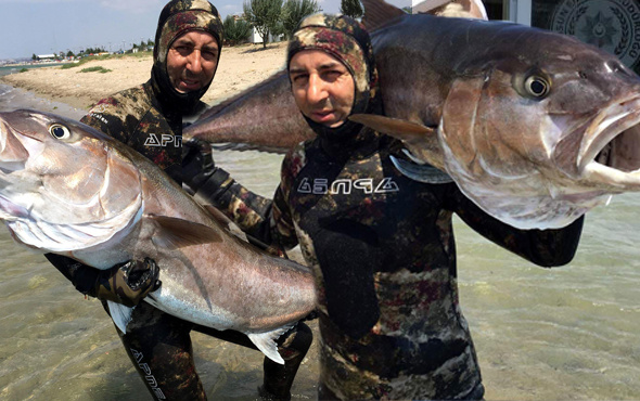 Çanakkale'de zıpkınla yakaladı boyu 2 metre ağırlığı 68 kg