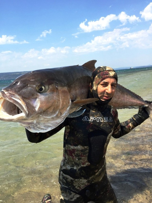 Zıpkınla 68 kiloluk balık yakaladı