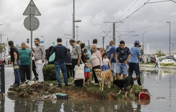 Günün fotoğrafı olmuştu işte İstanbul'daki o adacık