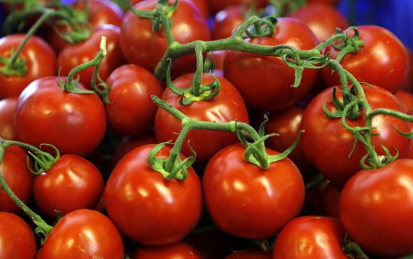 Rusya'dan domates krizinde geri adım