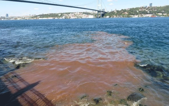 İstanbul Boğazı'na bakın deniz bir anda kırmızı oldu