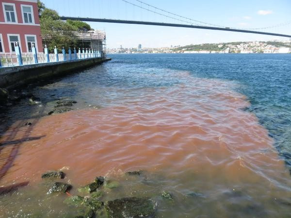 İstanbul Boğazı'na bakın deniz bir anda kırmızı oldu