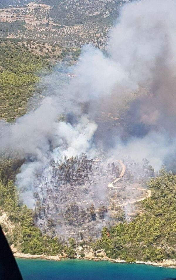 Muğla'da ormanlık alan yanıyor dehşet görüntülere bakın