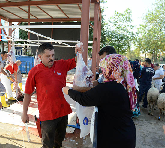 Büyükşehir’den ücretsiz kurban kesimi