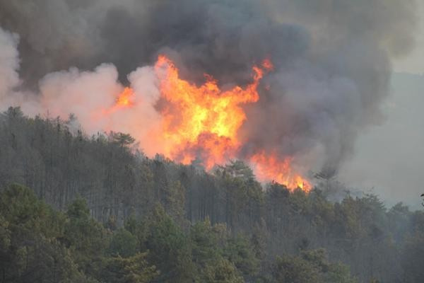Kütahya'da orman yangını felaket havadan böyle görüntülendi