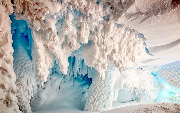 Antarktika’nın mağaralarında daha önce keşfedilmemiş canlılar yaşıyor 