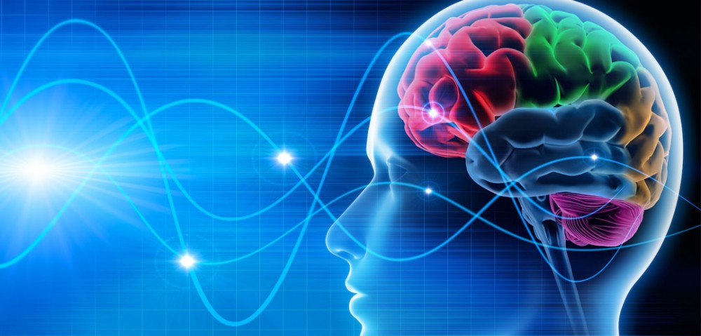 İnsan beyni internete bağlandı