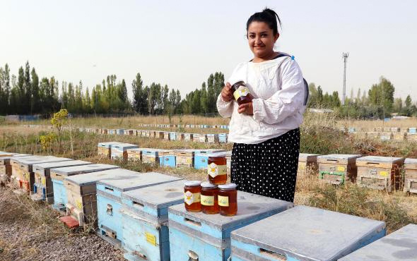 Vanlı kadın arıcılar bal hasadını yaptı