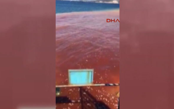  İzmir'de korkutan görüntü! Deniz kırmızıya boyandı