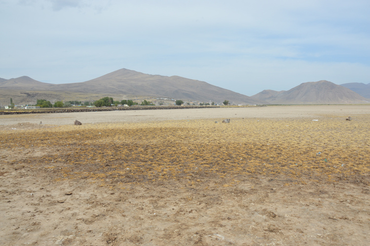 Ağrı Dağı eteklerindeki köylüler kuraklıkla mücadele ediyor
