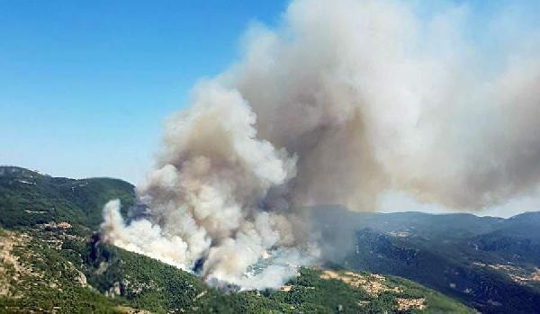 Ciğerlerimiz yanıyor Muğla'dan son dakika yangın haberi ilk görüntüler