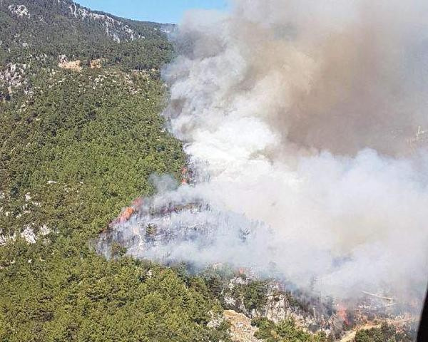 Ciğerlerimiz yanıyor Muğla'dan son dakika yangın haberi ilk görüntüler