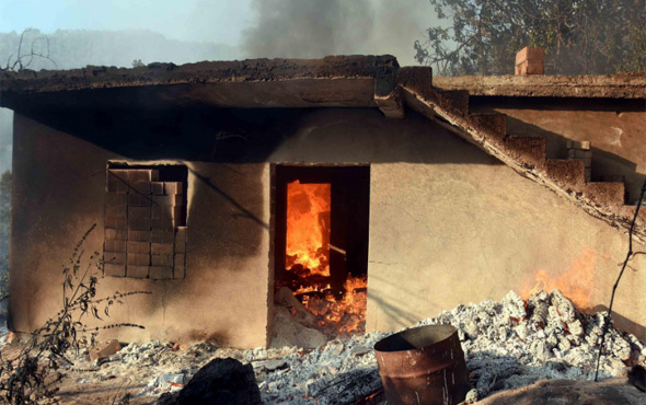 Muğla'daki yangında şok! Arılar çıldırdı köy evleri yandı