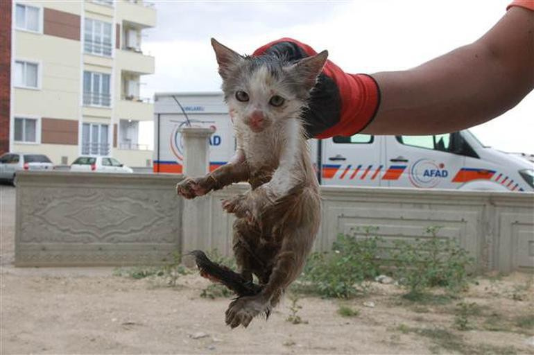 Tuvaletten çıkan 'yok artık' dedirtti