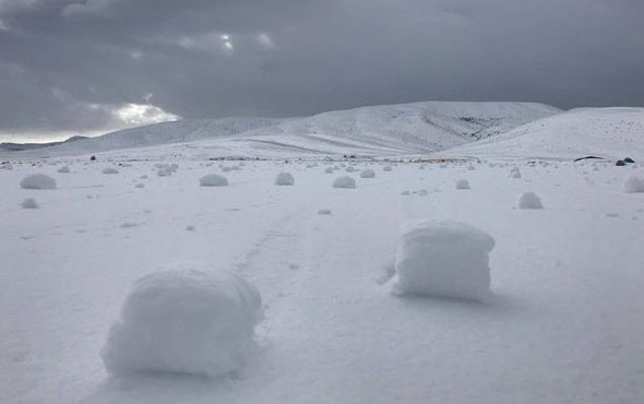 Kayseri'de köylüleri şaşırtan görüntü