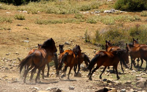 Manisa'daki Spil Dağı Milli Parkı'na yoğun ziyaretçi