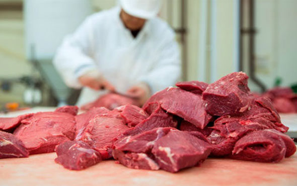 Bosna'dan gelen 20 ton hastalıklı et için flaş açıklama