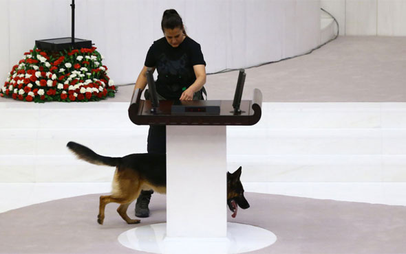 Meclis bugün açılıyor! Dedektör köpeklerle arama yapıldı