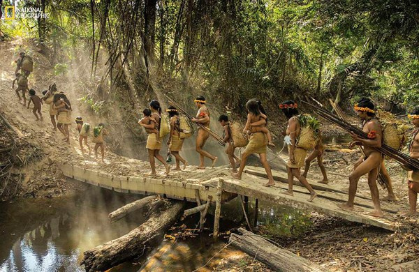 Brezilya Amazonlarının yerli halkı Awa kabilesine bakın! Hayvanları emziriyorlar
