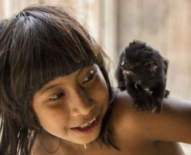 Brezilya Amazonlarının yerli halkı Awa kabilesine bakın! Hayvanları emziriyorlar