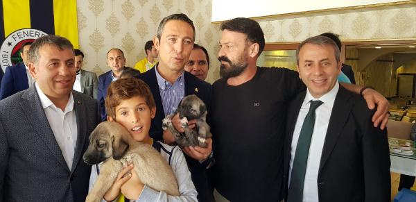Ali Koç'a bir çift kangal köpeği yavrusu hediye edildi