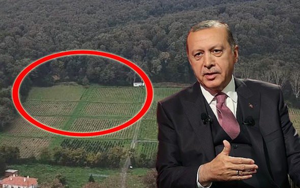 Erdoğan 'keşif yaptılar' demişti! İşte o bölge