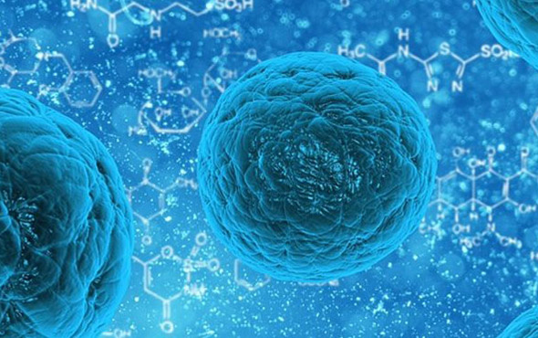 İsveçli bilim insanları yeni bir insan hücresi yapısı keşfedildi