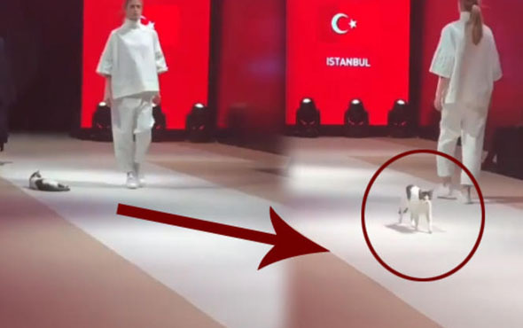 Catwalk yürüyüşü böyle yapılır!