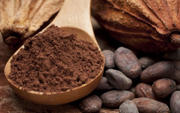 Kakao yağının faydaları 