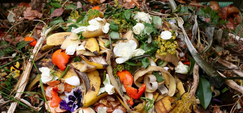 Restoranların gıda atıklarını çöpe atması yasaklandı
